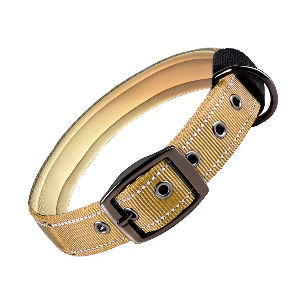 Padded Reflective Dog Collar with Metal Buckle, Medium to Large Dogs