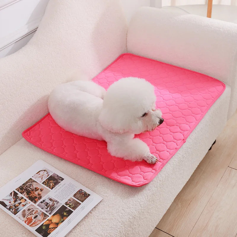Washable Dog Pee Pad, Reusable Puppy Training Mat with Non-Slip Back
