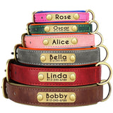 Personalized Dog Collar and Leash Set with Engraved Nameplate