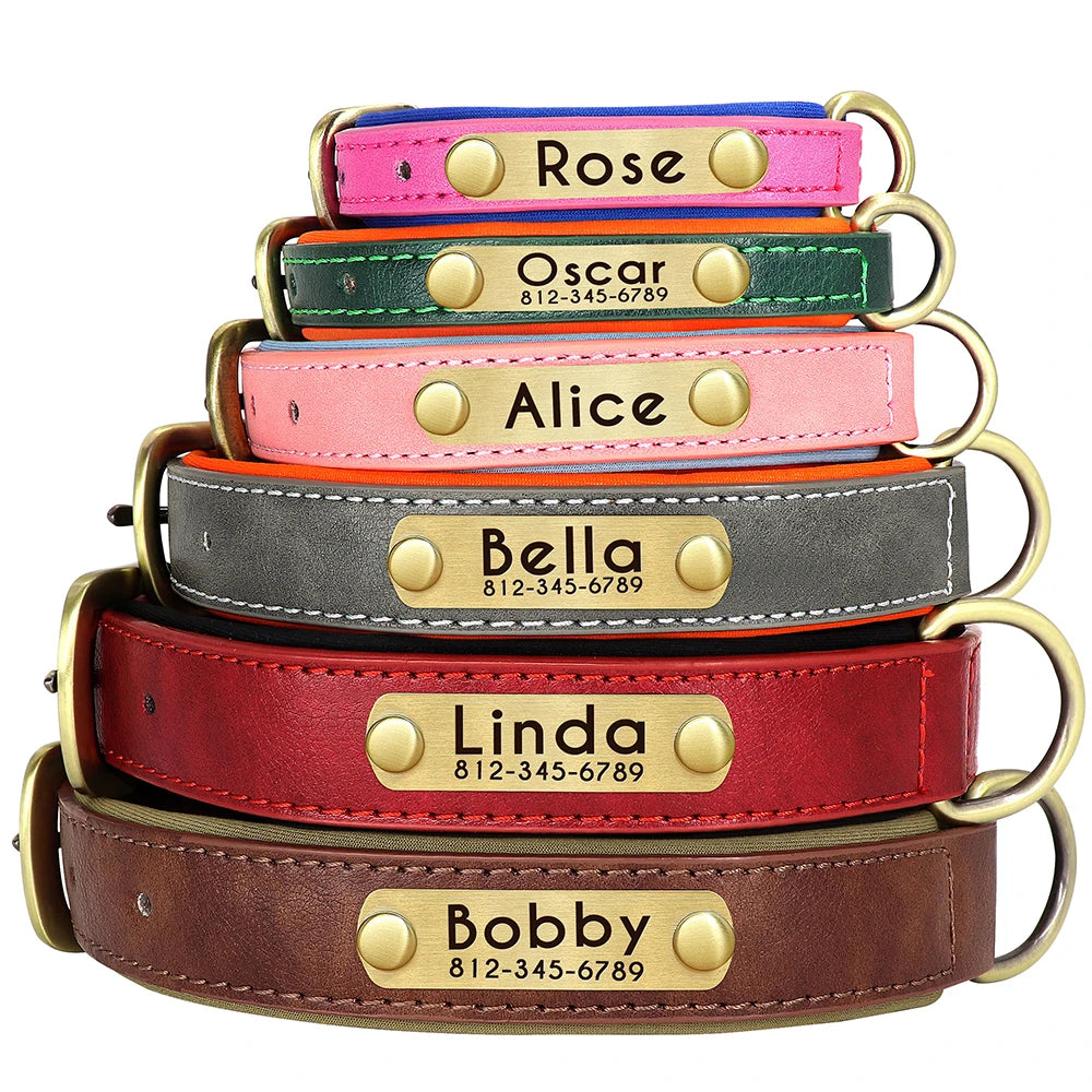 Personalized Dog Collar and Leash Set with Engraved Nameplate