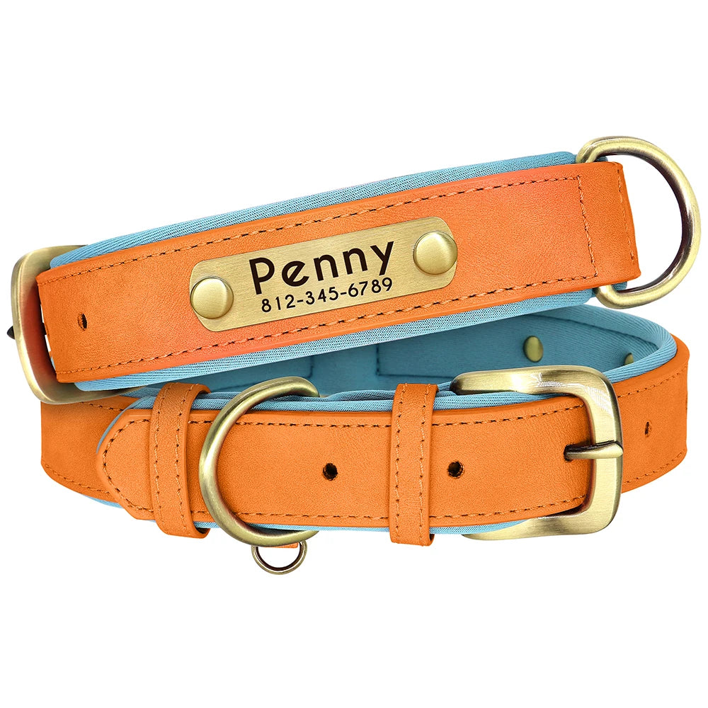 PU Leather Dog Collar with Engraved Nameplate ID Tag, Padded