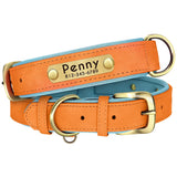 PU Leather Dog Collar with Engraved Nameplate ID Tag, Padded