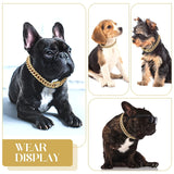 Cuban Link Dog Collar, Jeweled Stainless Steel Chain
