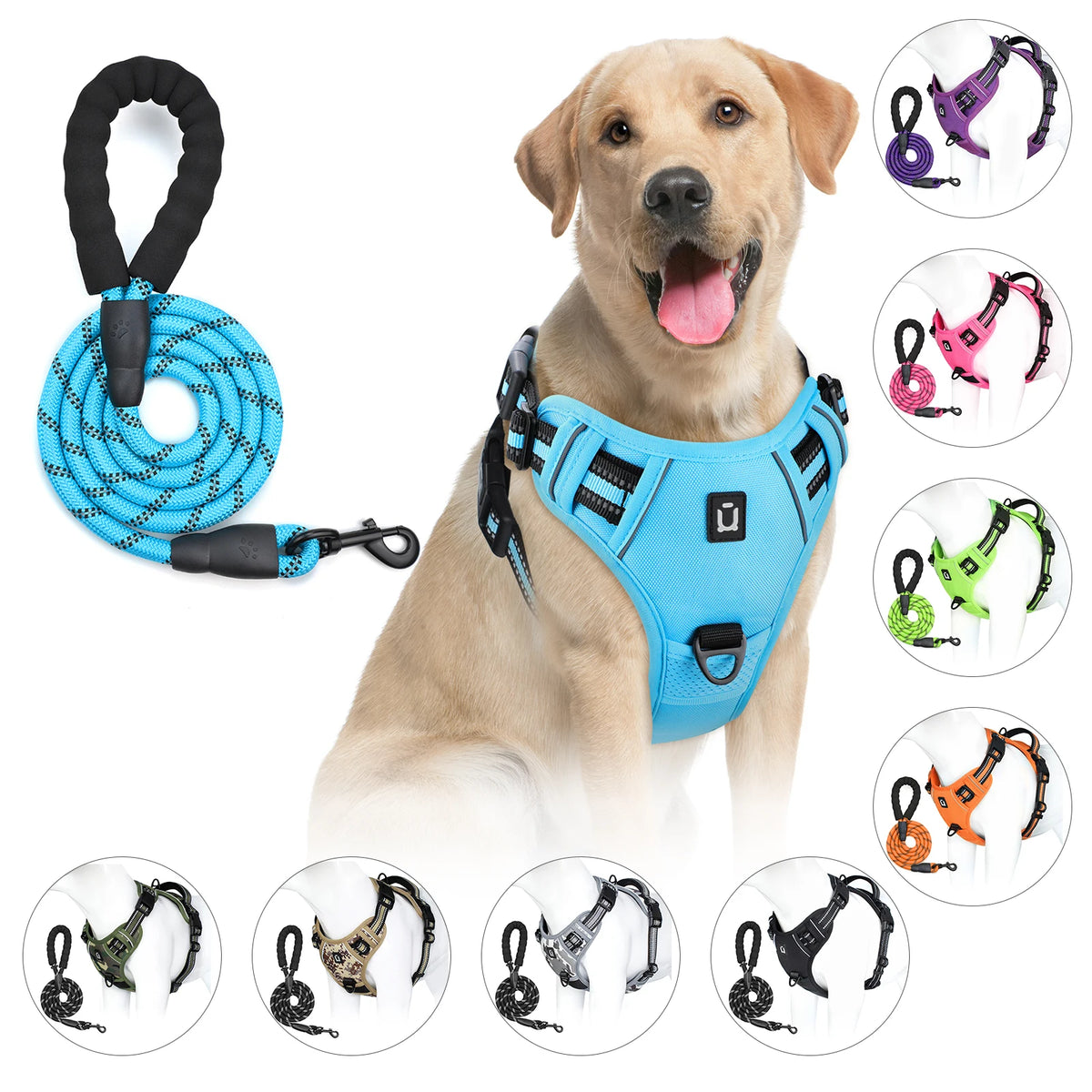 No Pull Dog Harness and Leash Set with Front and Back Clips