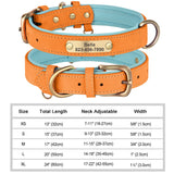 Personalized Dog Collar with Free Engraved ID Tag, PU Leather