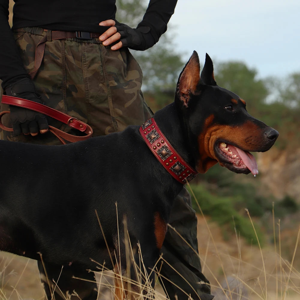 Genuine Leather Dog Collar and Leash Set for Large Dogs