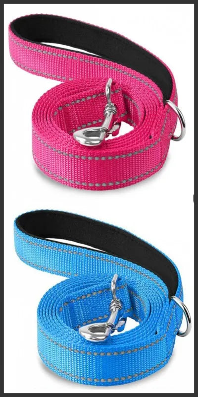 Reflective Nylon Dog Leash with Padded Handle, 4, 5 or 6 ft