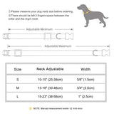 Custom Engraved Buckle Dog Collar with Name and Phone Number