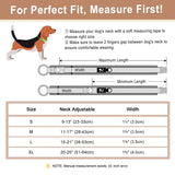 Padded Dog Collar with Quick Release Metal Buckle, S to XL