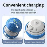 Smart Rolling Dog Ball That Moves on Its Own, USB Rechargeable