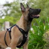 Escape Resistant Dog Harness with Zippered Pocket and Handle