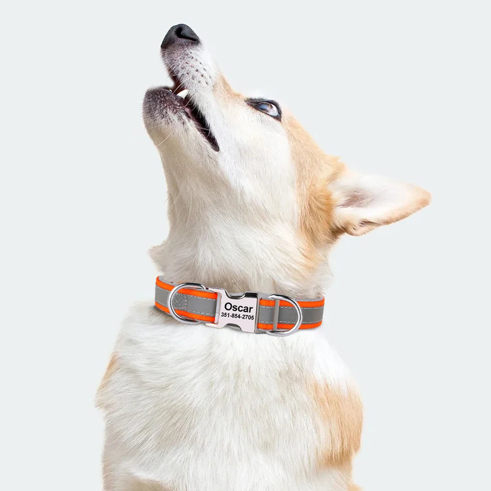 Custom Padded Nylon Dog Collar with Engraved Phone Number