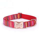Personalized Dog Collar with Engraved Name and Phone Buckle