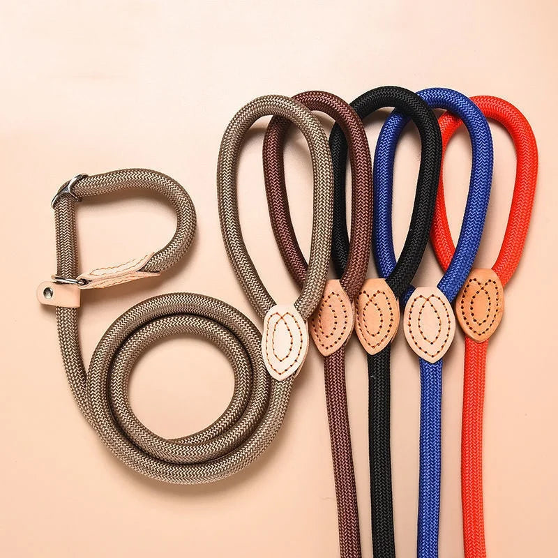 Braided Rope Slip Lead for Small and Medium Dogs