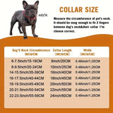 Cuban Link Dog Collar, Jeweled Stainless Steel Chain