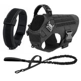 Tactical Dog Harness with MOLLE Panels for Medium & Large Dogs