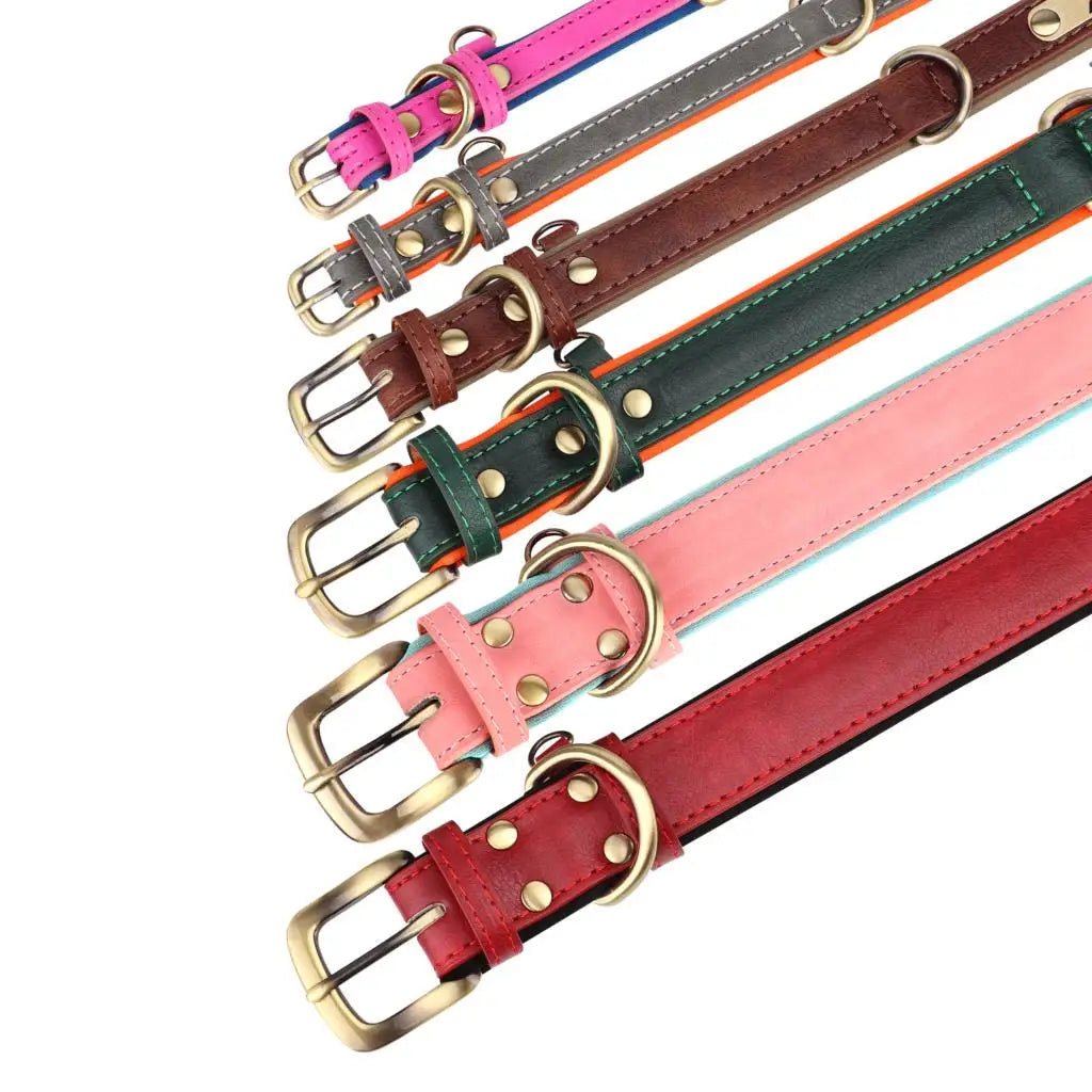 Personalized Dog Collar and Leash Set with Engraved Nameplate