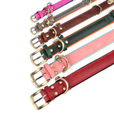 Personalized Dog Collar and Leash Set with Engraved Nameplate