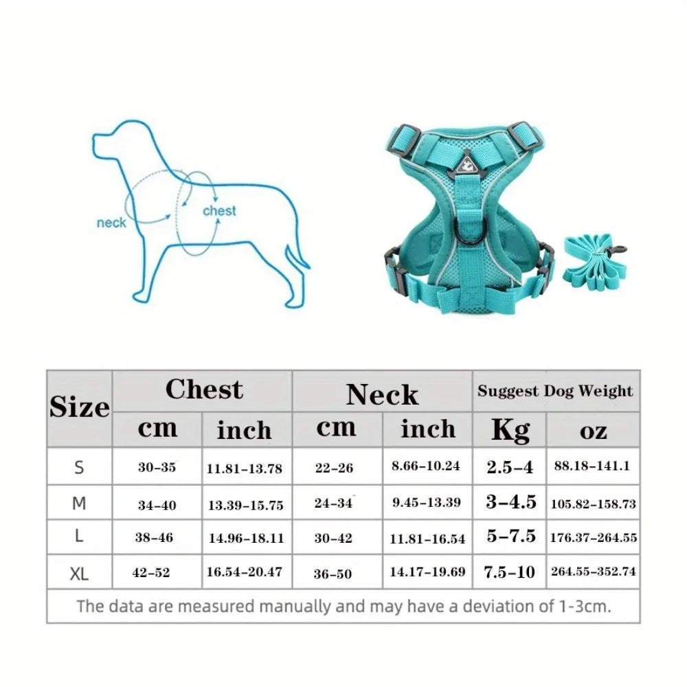 Reflective Dog Harness and Leash Set for Small Dogs