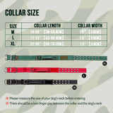 Tactical Dog Collar with Handle, Double Buckle and Patches