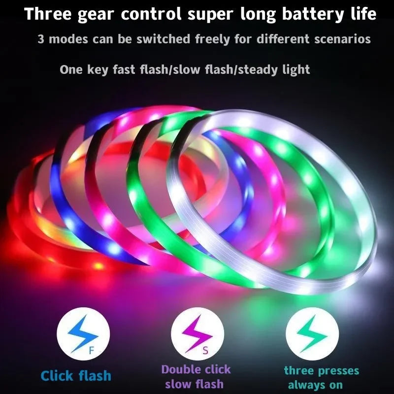 Rechargeable LED Dog Collar, Cut to Fit Small to Large Dogs