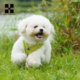 Step-In Dog Harness and Leash Set for Small Dogs and Cats