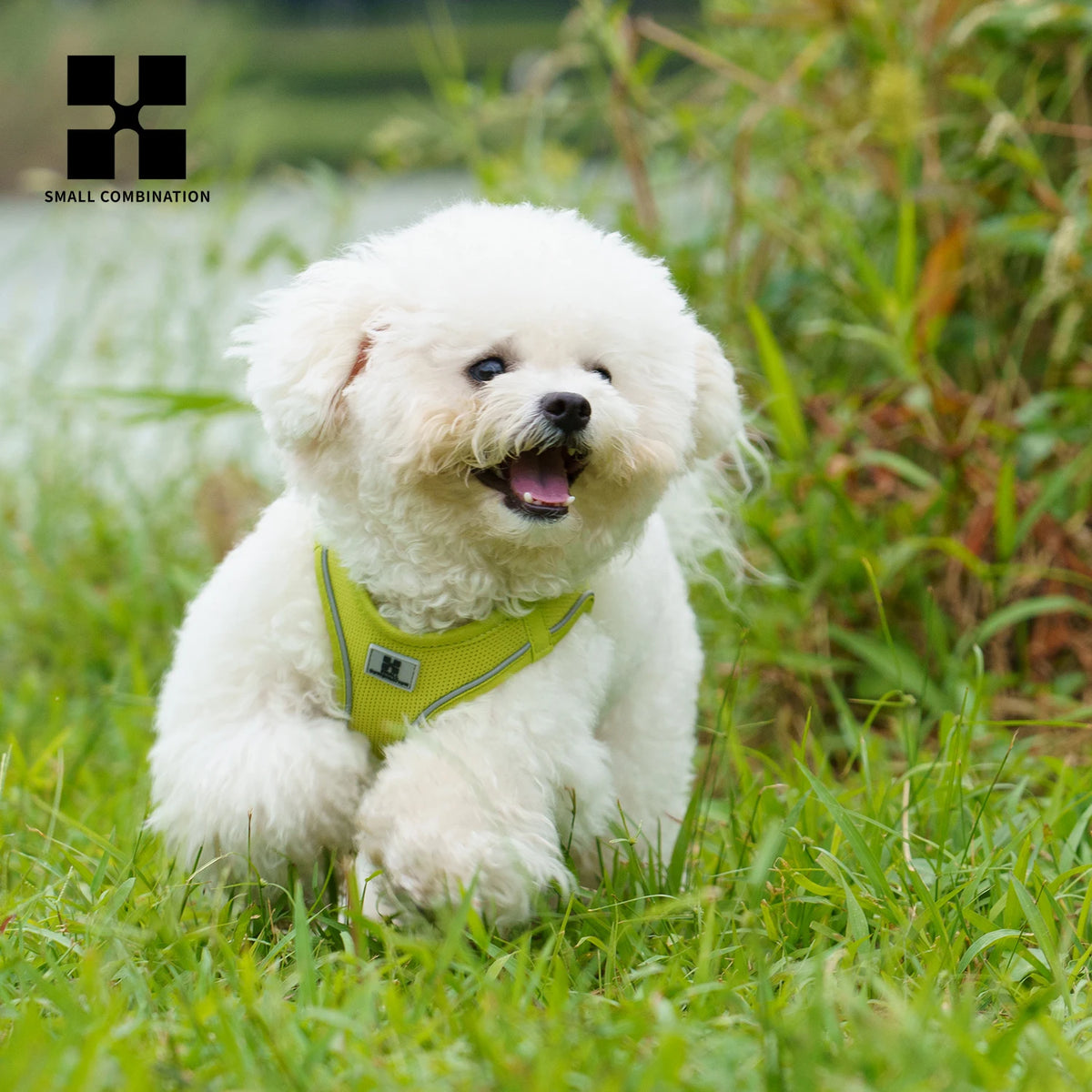 Step-In Dog Harness and Leash Set for Small Dogs and Cats