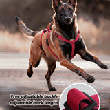 Adjustable Nylon Vest Harness for Large Dogs, M to XL