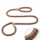 Braided Rope Slip Lead for Small and Medium Dogs