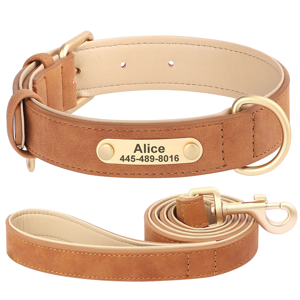 Personalized Leather Dog Collar with Engraved Nameplate, Pin Buckle