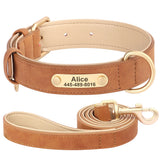 Personalized Leather Dog Collar with Engraved Nameplate, Pin Buckle