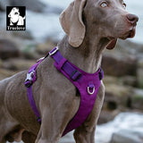Lightweight Dog Harness with Aluminum D-Ring, Sizes XXS-XL