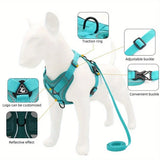Reflective Dog Harness and Leash Set for Small Dogs