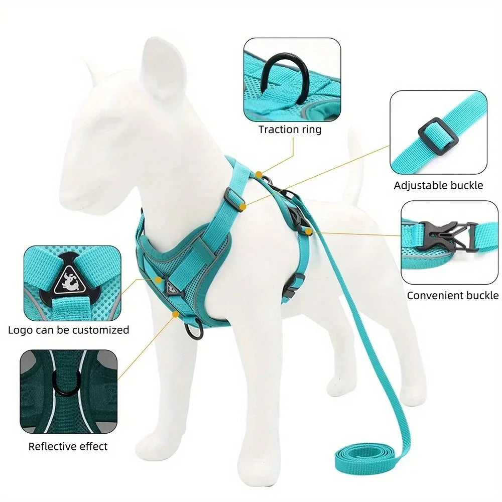 Reflective Dog Harness and Leash Set for Small Dogs
