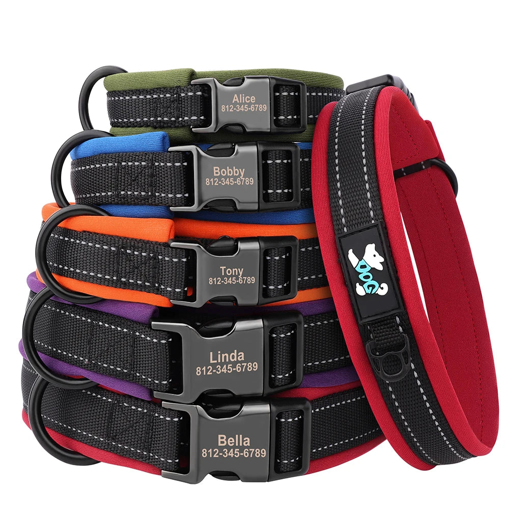 Custom Padded Nylon Dog Collar with Engraved Phone Number