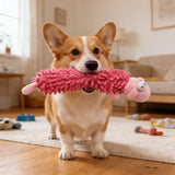 Squeaky Plush Dog Toy with Soft Mop Texture