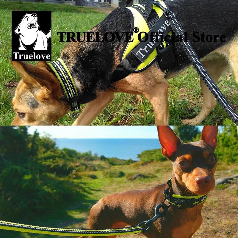Adjustable Reflective Collar with Stainless Steel Ring