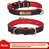 Personalized Leather Dog Collar with Engraved Nameplate ID Tag