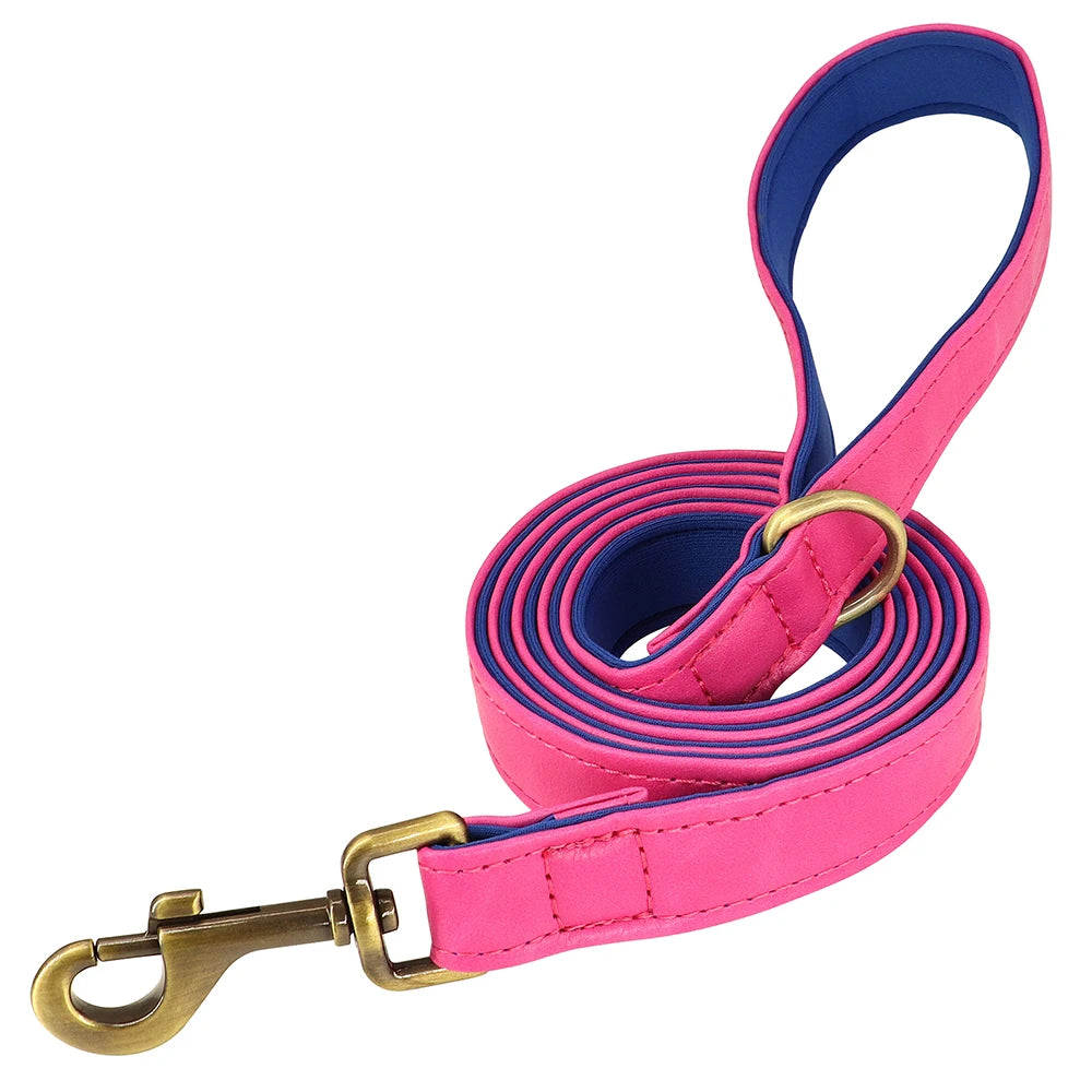 Personalized Dog Collar and Leash Set with Engraved Nameplate