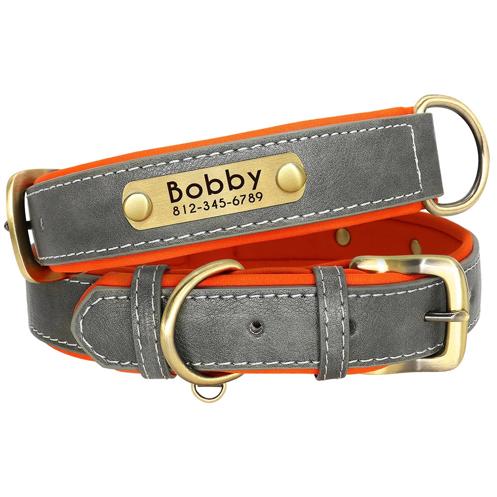 Personalized Dog Collar and Leash Set with Engraved Nameplate