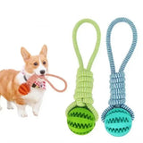Dog Rope Tug Toy with Treat Dispensing Ball for Small Dogs