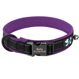 Personalized Dog Collar with Engraved Buckle, Reflective & Padded