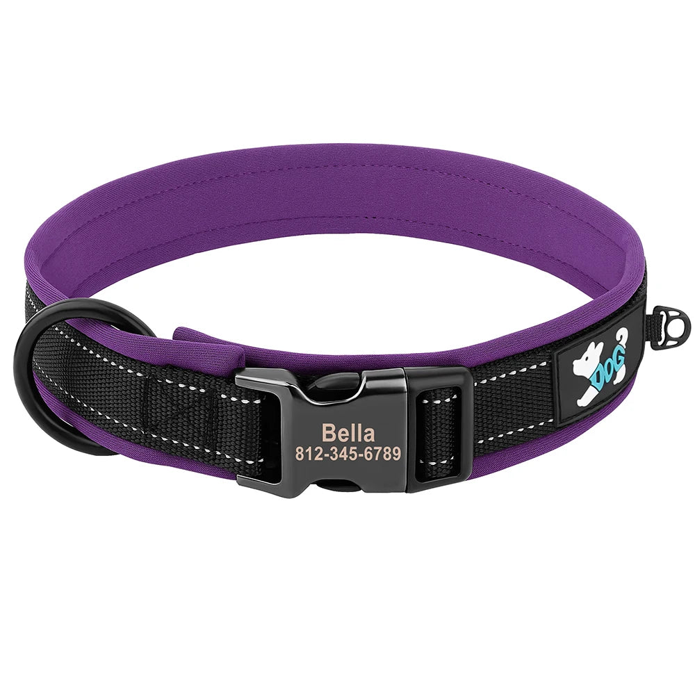 Personalized Dog Collar with Engraved Buckle, Reflective & Padded