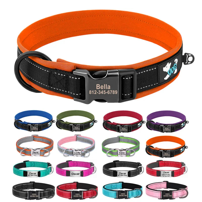 Custom Padded Nylon Dog Collar with Engraved Phone Number