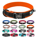Custom Padded Nylon Dog Collar with Engraved Phone Number