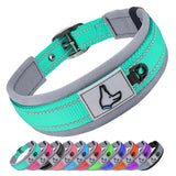Heavy Duty Padded Dog Collar for Large Dogs, Reflective Nylon