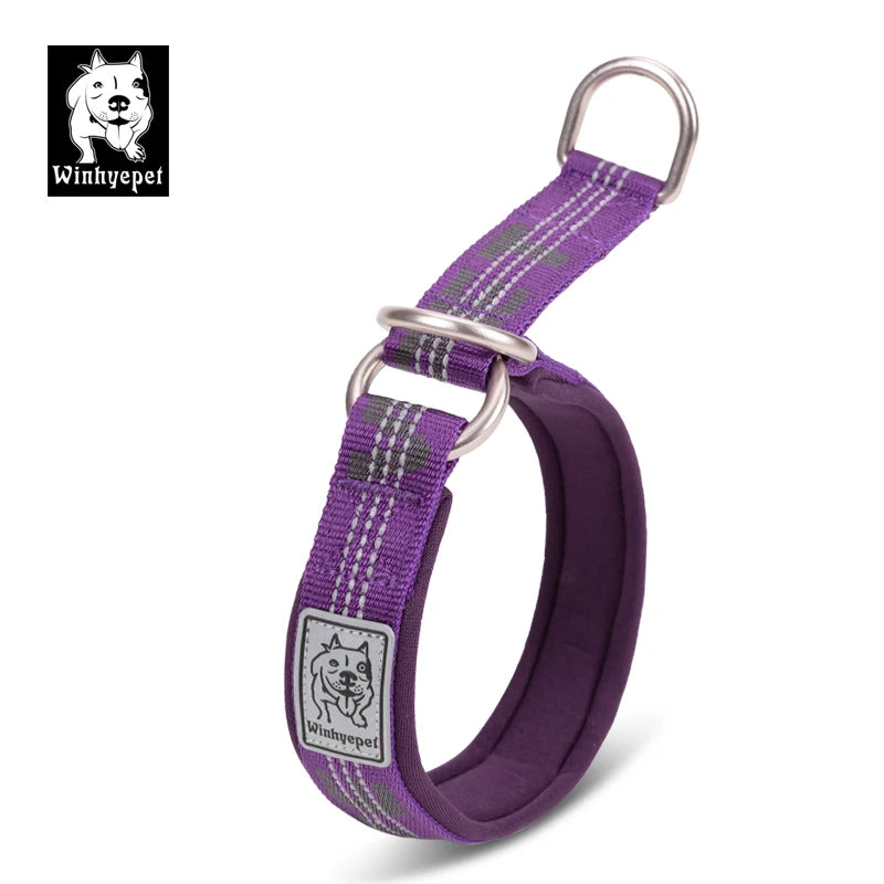 Martingale Dog Collar with Neoprene Padding and Reflective Stitching