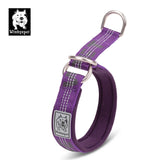 Martingale Dog Collar with Neoprene Padding and Reflective Stitching