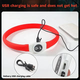 Rechargeable LED Dog Collar, Cut to Fit Small to Large Dogs