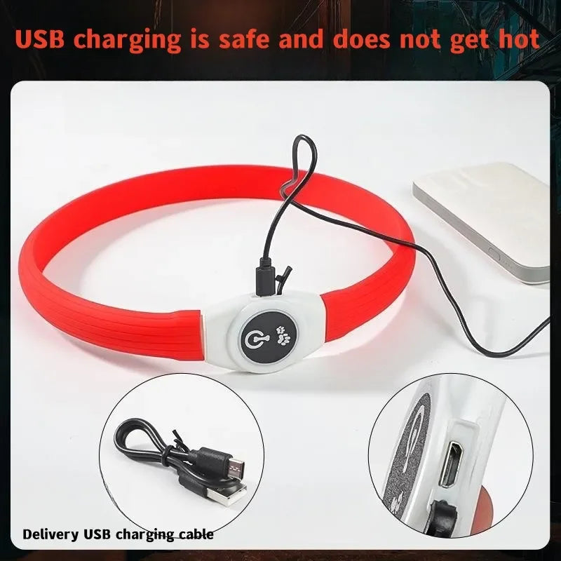 Rechargeable LED Dog Collar, Cut to Fit Small to Large Dogs